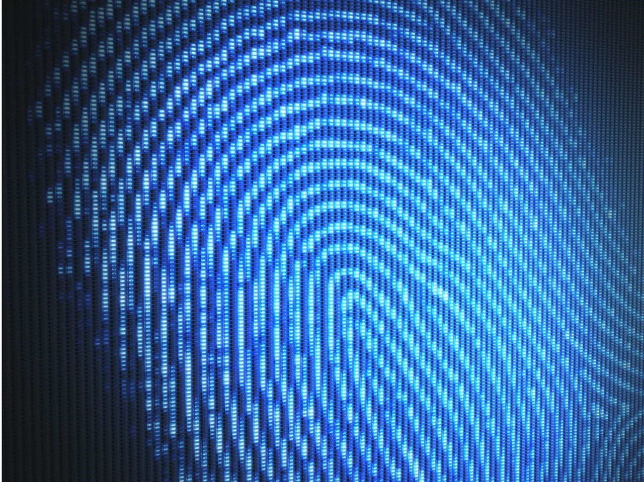 A close-up of a screen with multiple pixels showing a blown-up fingerprint.