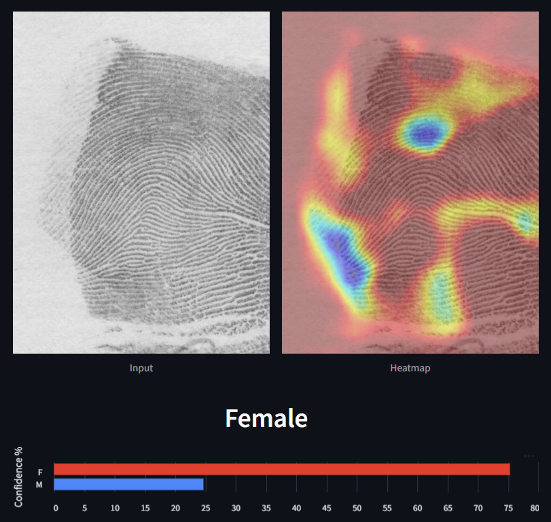A screenshot of a computer screen showing fingerprints and heat maps, with the results showing "Female".